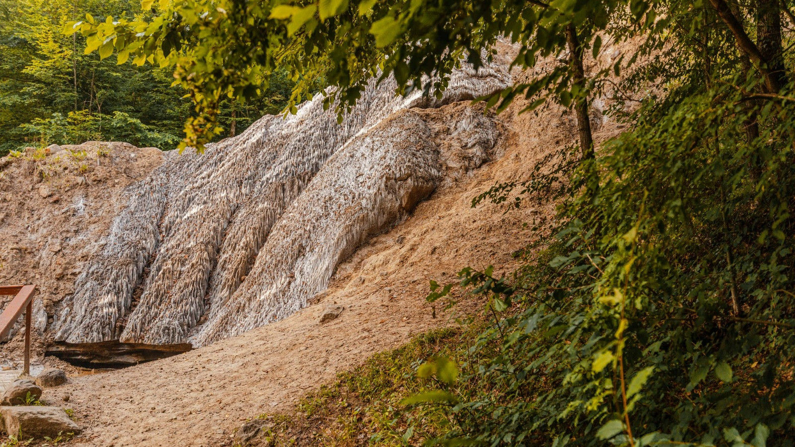 Rarități ale naturii