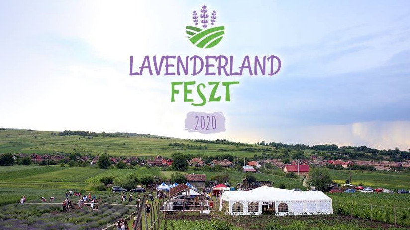 Lavenderland Fest