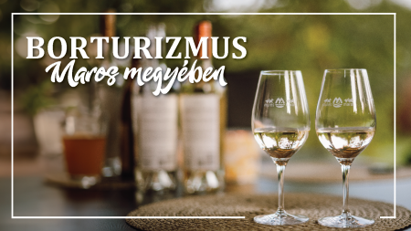 Borturizmus Maros megyében