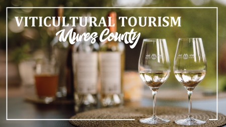 Viticultural tourism in Mureș County